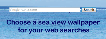 seaview Google search