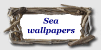 sea wallpapers