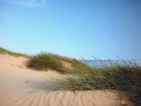 Dune Landes